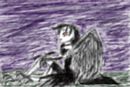 dark-crow