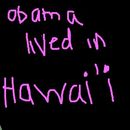 hawaii-rocks