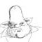 booss by jovan