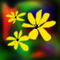 yellow-flowers by ph