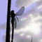 dragonfly by kanellos