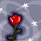 rose-of-love by Tasha1993