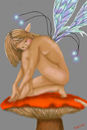 the-fairy