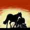 hourse by sankar