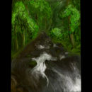 forest-stream