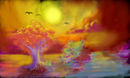 sun-set2