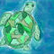 turtle by marissa112
