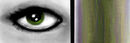 eyes-and-stripes