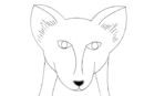 red-fox red-fox