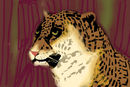 jag