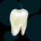 tooth by opalescent