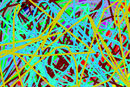 lines