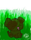 cute-brown-puppy