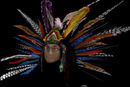 head-dress