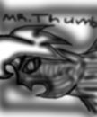 mr-thumb