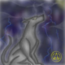 protector