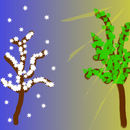 summer-winter