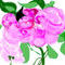 roses by dinasaur