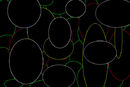circle