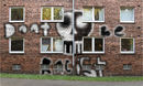 dont-be-racist