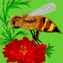 busy-bee