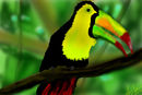birdie birdie