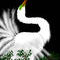 egret by ammujai
