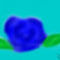 blue-rose by iss
