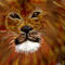 miauuuu by celia