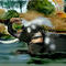 elefante-asiatico by celia