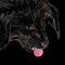 puppy by Saffy