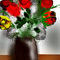 rosas by celia
