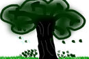 my-fall