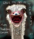 what-im-not-a-turkey