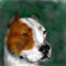 pitbull by cinx