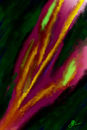 merge