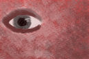 eye2