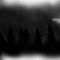 dark-forest by bridgett0909