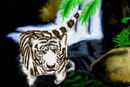 striped-reflections