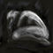 fragment by selva