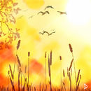 -birds-