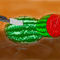 watermelon by sankar