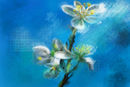 blossom-texture