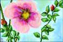 a-flower-what-else