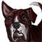 pleasee by cinx