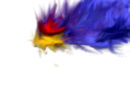 my-evil-bird-thing