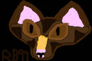 cat-in-the-dark