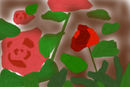 roses1