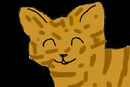 mapleshadow