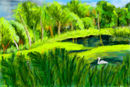a-sunny-day-in-reed